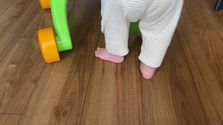 双子の歩き方について違和感の記事動画