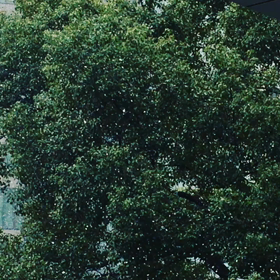 大寒波なんかな？の画像