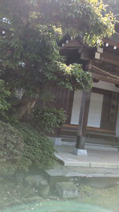 館山でパワーチャージ★安房神社＆館山フルーツ工房の記事動画