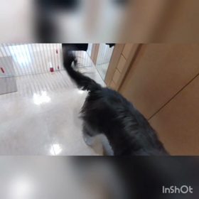 癒しの～ 音量注意！の画像