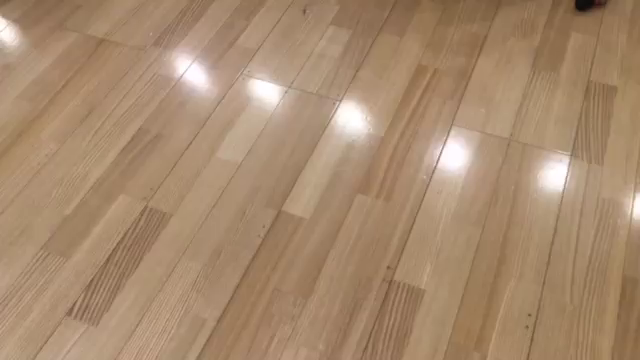 本番2日前の記事動画