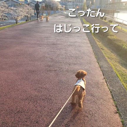 ٩꒰ ˘ ³˘꒱۶雨の日の楽しみ。の記事動画