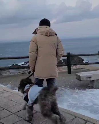 新年のご挨拶の記事動画