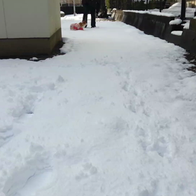 雪やコンコン～⛄❄の画像