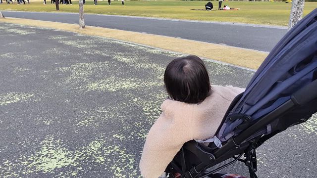 孫っちと公園三昧の記事動画