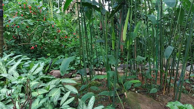 孫っちと公園三昧の記事動画