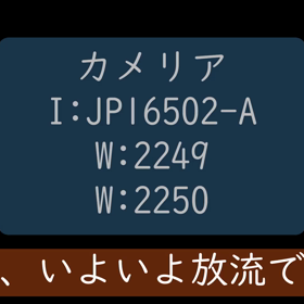 【小笠原3回目・2航海】ウミガメの放流動画の画像
