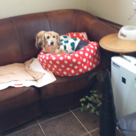 2016/04/13 寝ぐせ⁉︎の画像