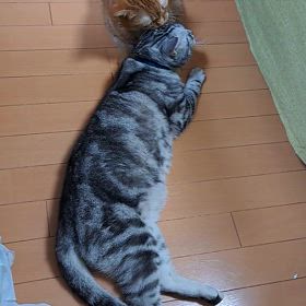 なんということでしょう❗の画像