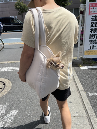 練習に行ってきましたの記事動画