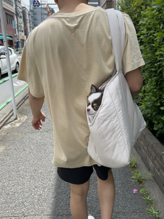 練習に行ってきましたの記事動画