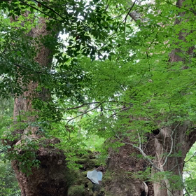 奪うと与えるの画像