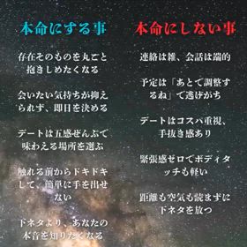 2025/08/08の画像