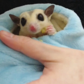 わくわくの画像