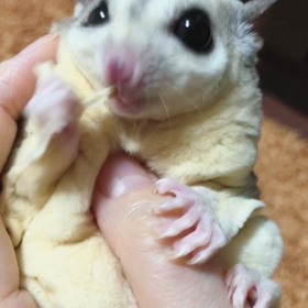はぁ〜の画像