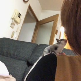 さすが親子の画像