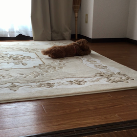 実家にの画像