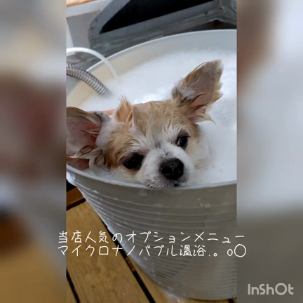おすすめオプションメニュー♪の記事動画