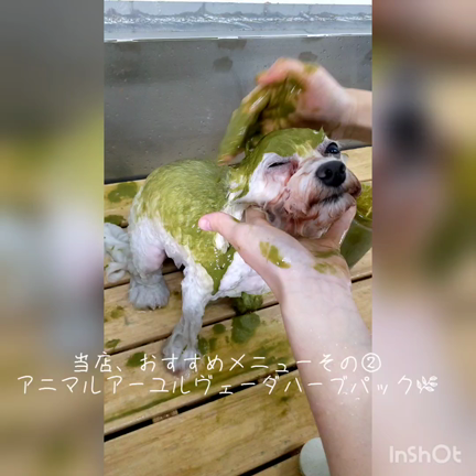 ハーブパックの記事動画