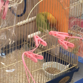 不登校日記〜寄り添いつっちゃん〜の画像