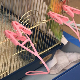 不登校日記〜つっちゃん〜の画像