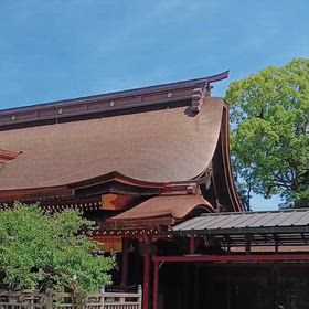 仮殿のすぐ後ろ、3年の大改修を終えた本殿ばいの画像