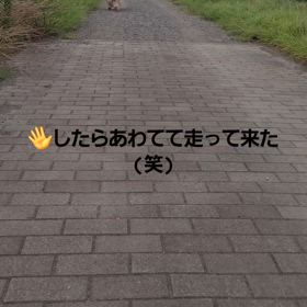 2024/07/11の画像