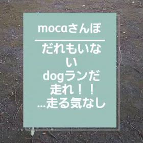 2024/05/27の画像