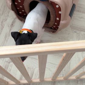 日々成長の画像