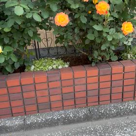 一歳最後の日の画像