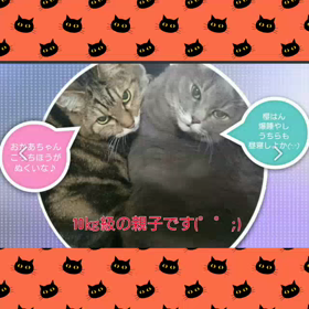 ツラいです(。>д<)の画像