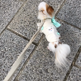 **  おともだちたちと香川県へ  **の画像