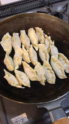 餃子パーティー！の記事動画
