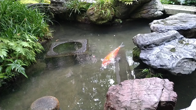 胸が苦しい・痛いときのセルフケア2の記事動画