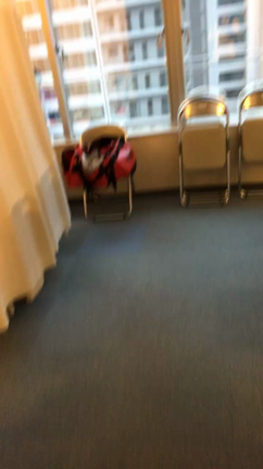 ㈮今日した事。の記事動画