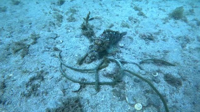 間違えるママちゃん☆の記事動画