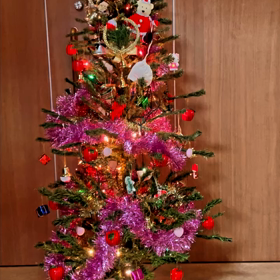 2022年最後の譲渡会無事終了♀️の画像