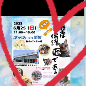2023.06.25(日)保護猫さんの譲渡会開催します❗️の画像