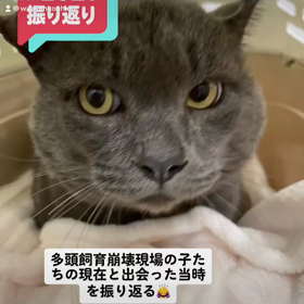 2021年お世話になりました♀️の画像