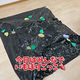 2024/11/15の画像