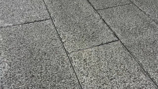 遅ればせながらの記事動画
