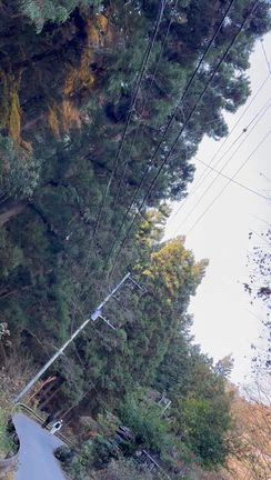 恒例行事の記事動画