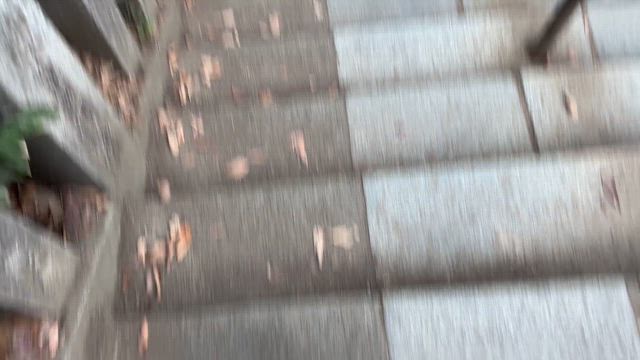 恒例行事　参の記事動画