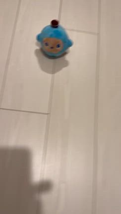 バラの季節の記事動画
