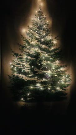 今年は悲しいクリスマスになりそうよ…。の記事動画