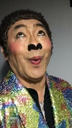 merry  Xmasの記事動画