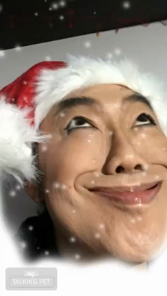 merry  Xmasの記事動画