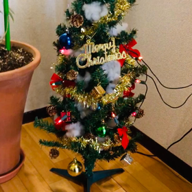 クリスマスツリーの画像