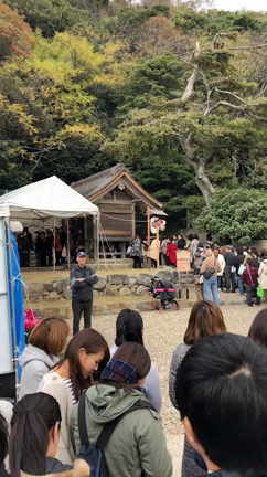 神在祭  〜  神様会議  〜の記事動画