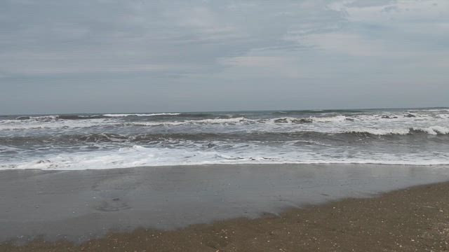 やっぱり効果すごいかも！○○を見る習慣の記事動画